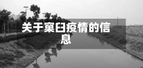 关于窠臼疫情的信息