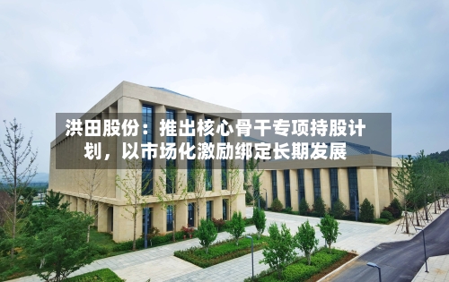洪田股份：推出核心骨干专项持股计划，以市场化激励绑定长期发展