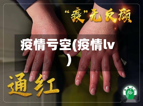 疫情亏空(疫情lv)