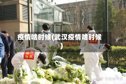 疫情啥时候(武汉疫情啥时候)