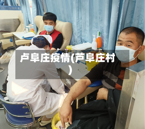 卢阜庄疫情(芦阜庄村)