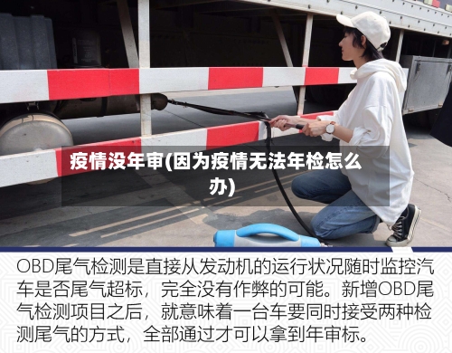 疫情没年审(因为疫情无法年检怎么办)