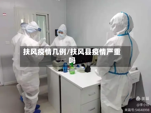扶风疫情几例/扶风县疫情严重吗