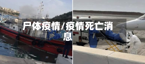 尸体疫情/疫情死亡消息