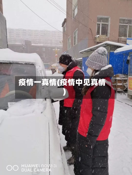 疫情一真情(疫情中见真情)