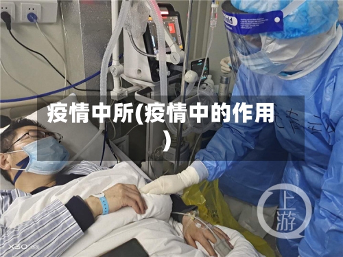 疫情中所(疫情中的作用)